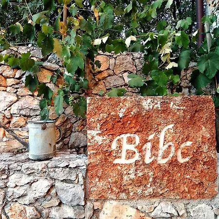 Bibc Wine & * Trieste