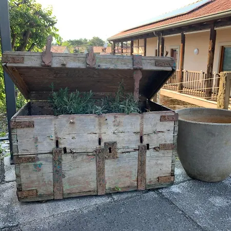 Guest house Bibc Wine &